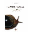 Lumache tropicali - Tropical snails