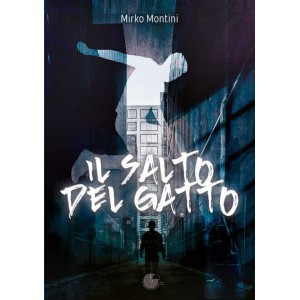 IL SALTO DEL GATTO